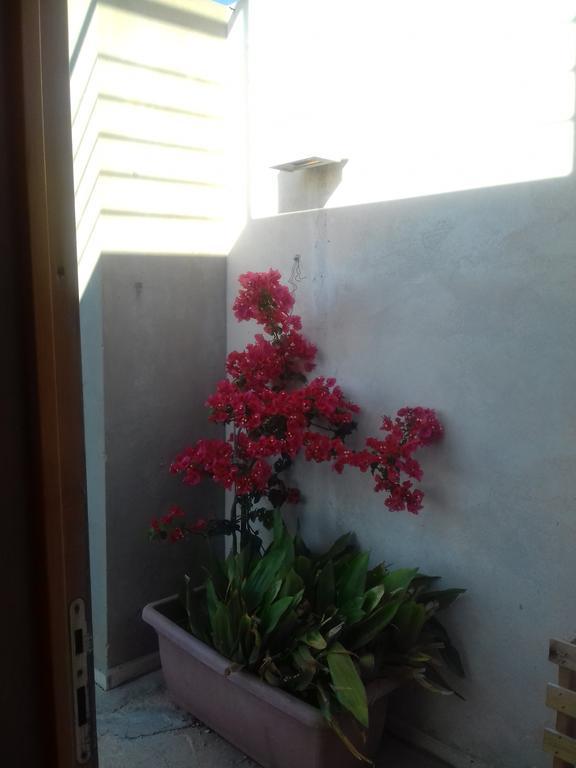 הוילה מראוזה Casa Dei Fenicotteri מראה חיצוני תמונה
